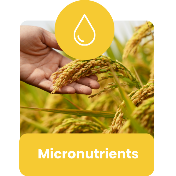 liquifert-Micronutrients