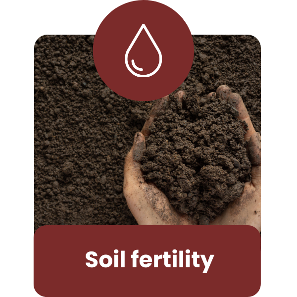 liquifert-Soil fertility